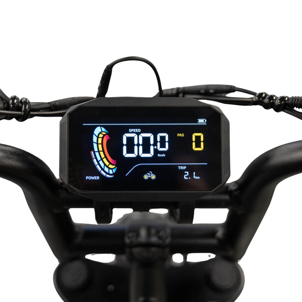 FATBIKE V20 MINI