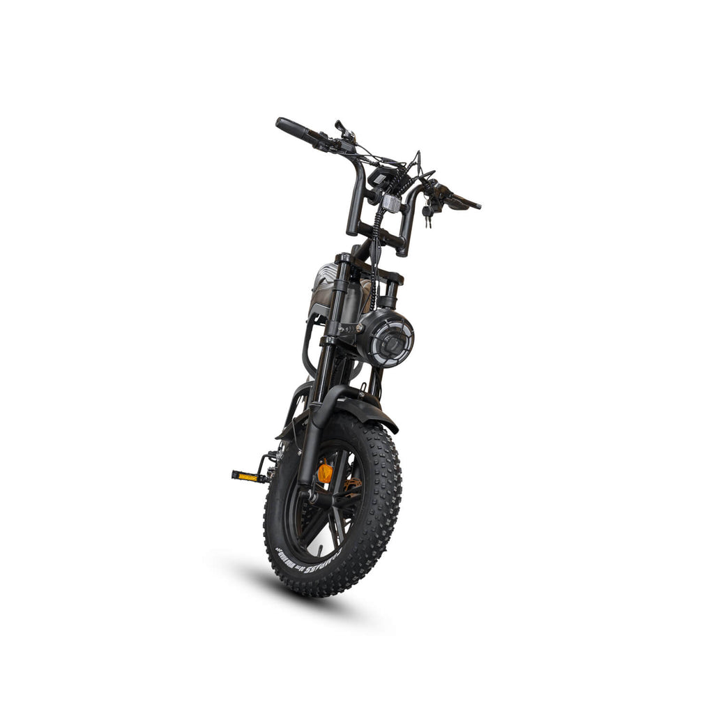 FATBIKE V20 MINI