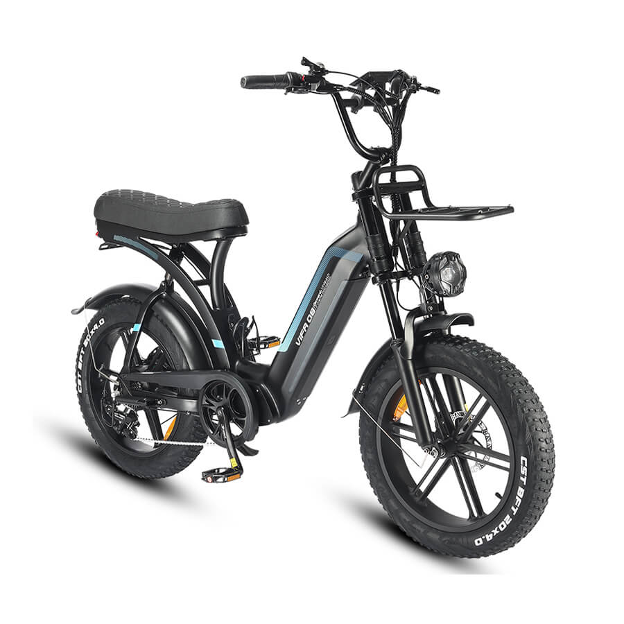 FATBIKE Q8