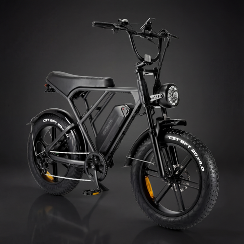 FATBIKE H9
