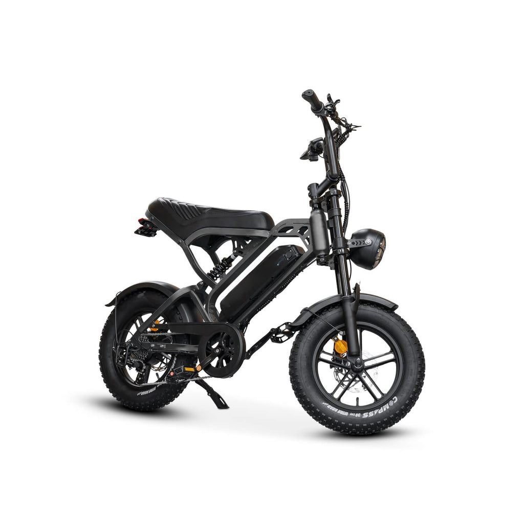 FATBIKE V20 MINI