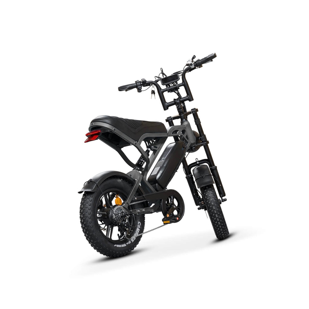 FATBIKE V20 MINI