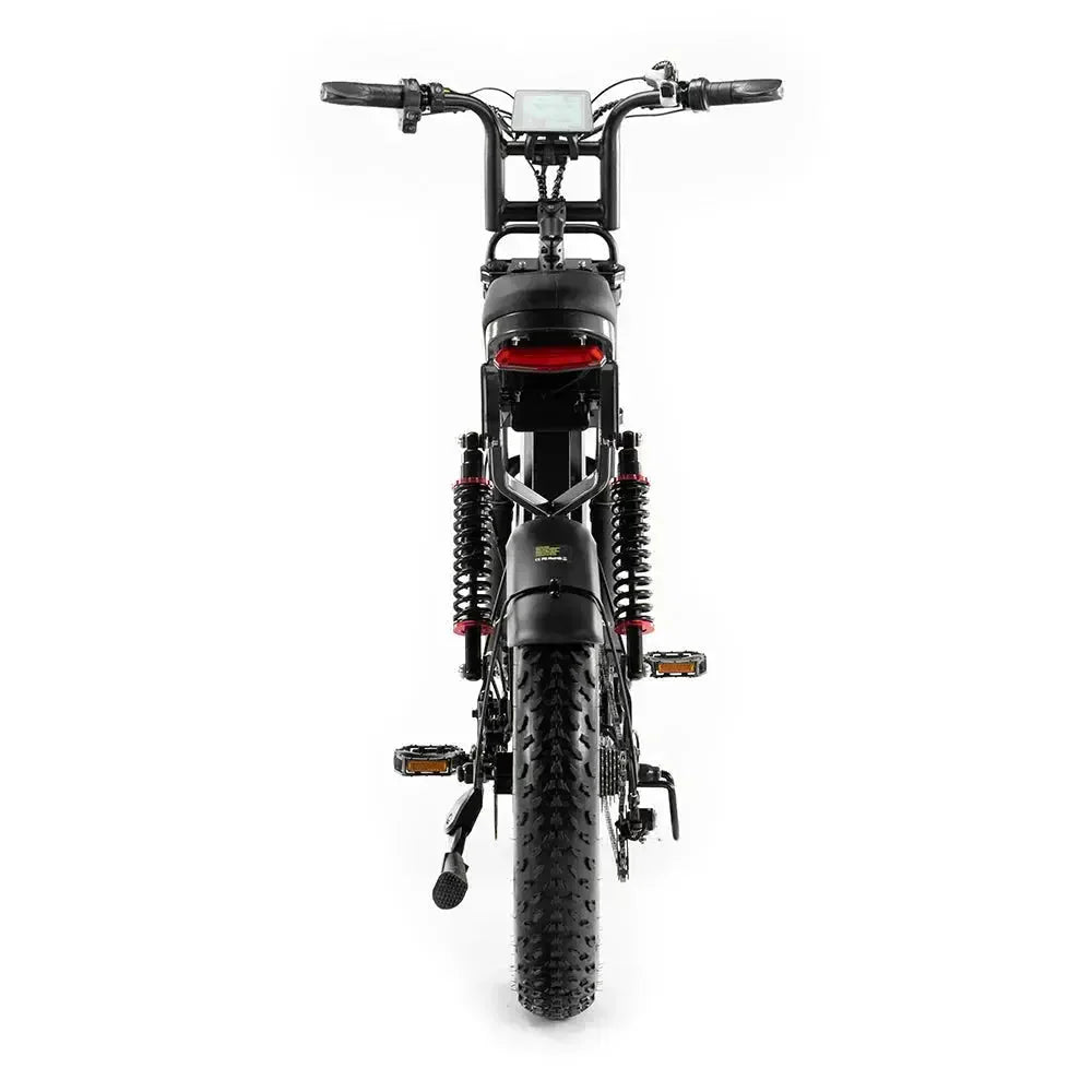 FATBIKE S20 PRO