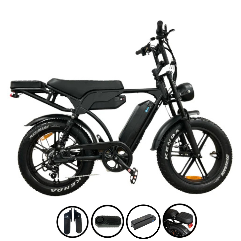 FATBIKE V29 PRO (Dual Battery)