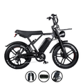 FATBIKE H9