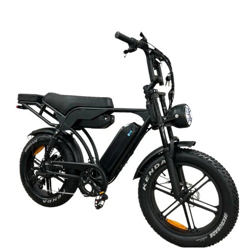 FATBIKE V29 PRO (Dual Battery)