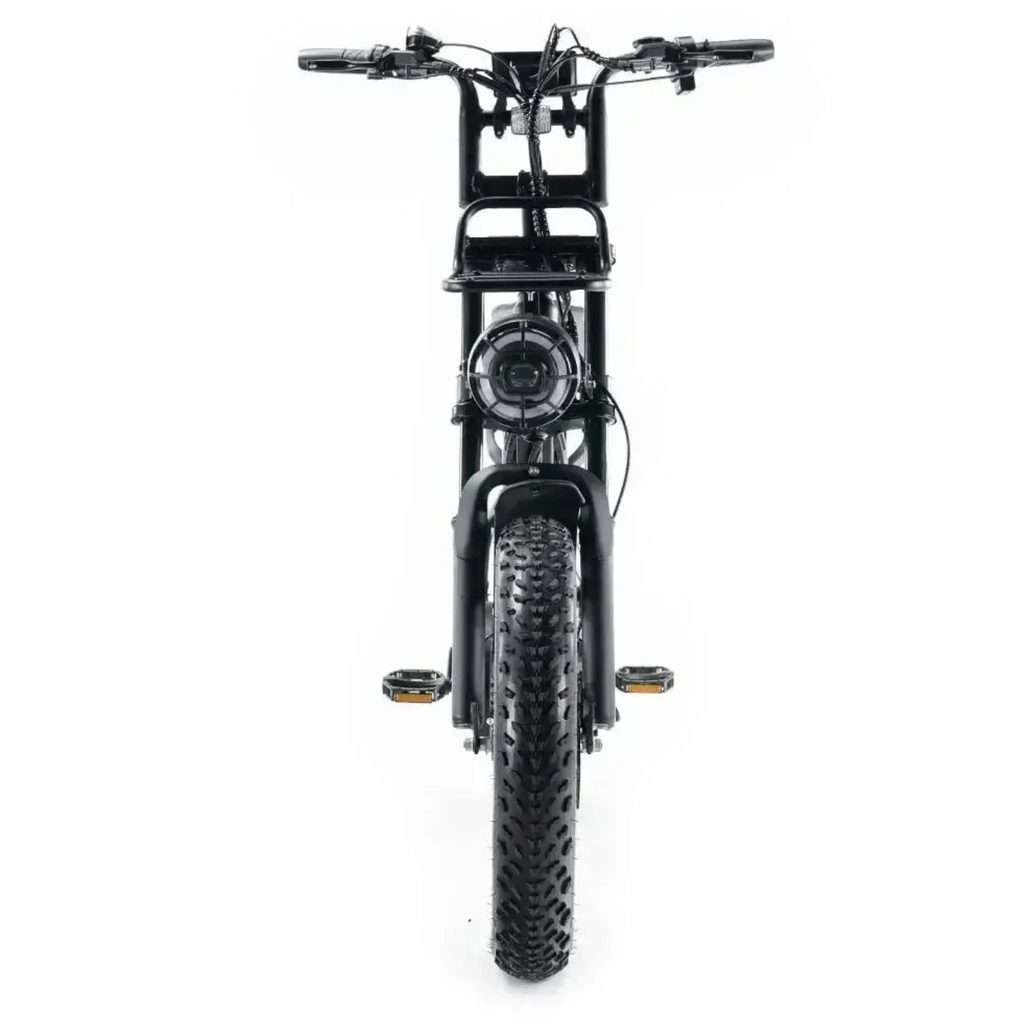 FATBIKE V20 PRO