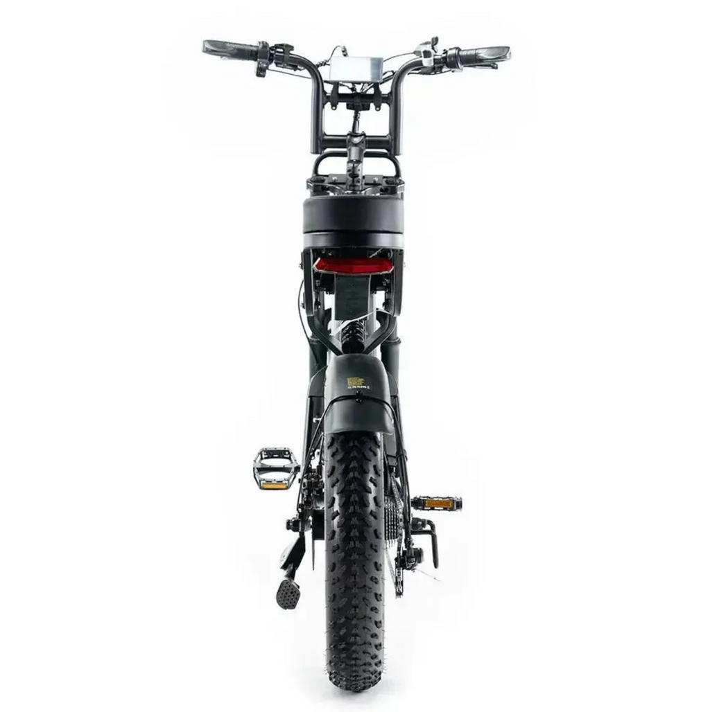 FATBIKE V20 PRO
