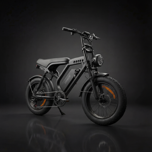 FATBIKE V20 PRO