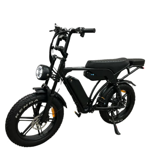 FATBIKE V29 PRO (Dual Battery)