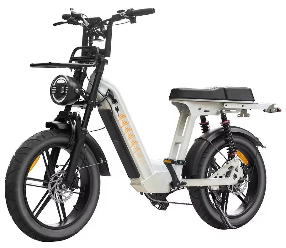 FATBIKE D50