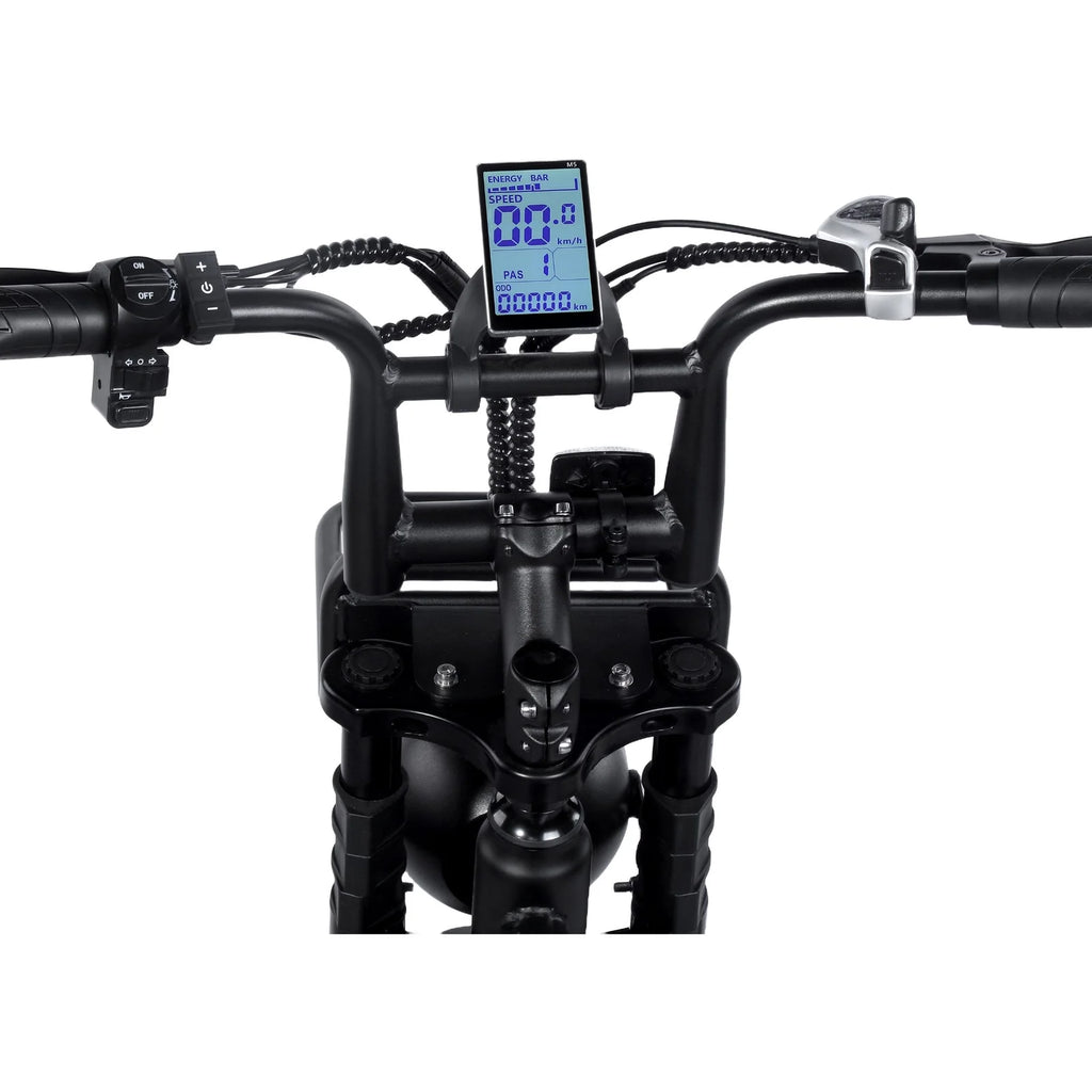 FATBIKE H9