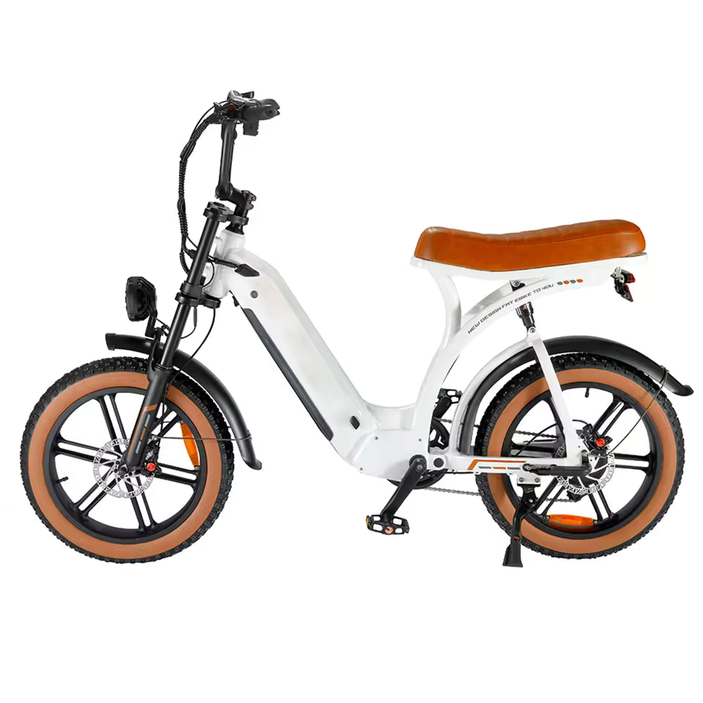 FATBIKE Q8