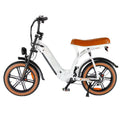 FATBIKE Q8