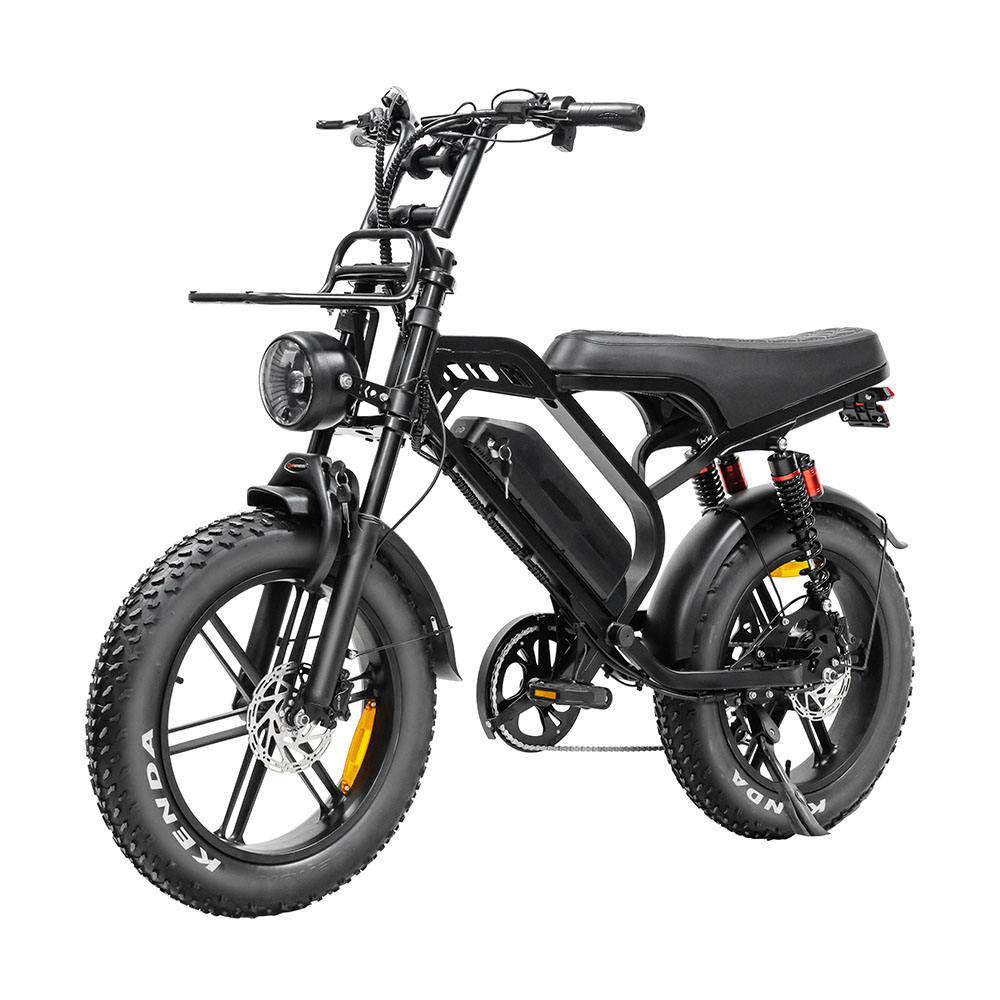 FATBIKE V20 PRO LIMITED (DUAL BATTERY)
